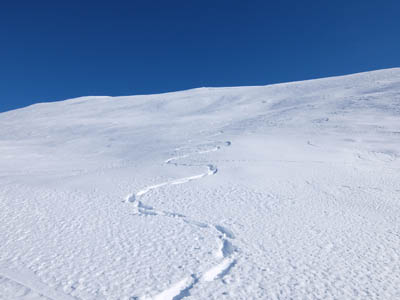 Randonnée raquettes à neige objectif 3000 m 