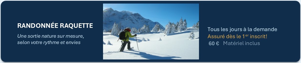hiver raquette a neige